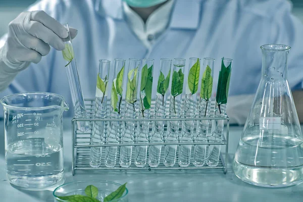 We carry out thorough research on different herbal medicines to understand their healing powers. Our team studies each plant to find out which diseases and ailments it can safely and effectively treat, helping us create natural remedies that truly support better health.